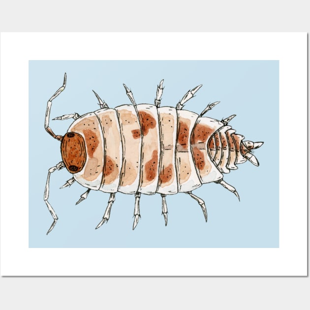 Porcellionides pruinosus "Orange Cream" Isopod Wall Art by paintedpansy